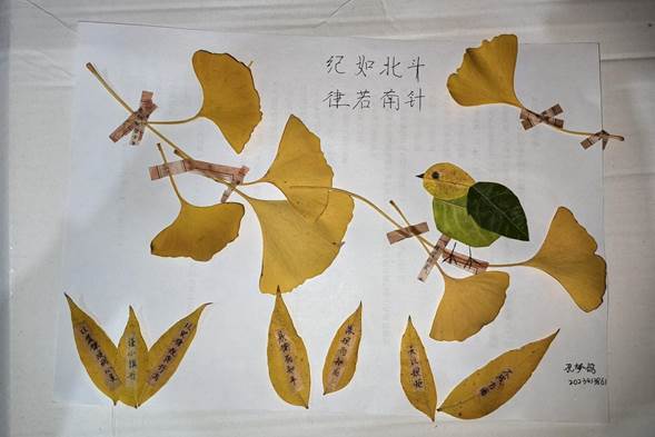 40602236d22b7d94242f7586e23c5cb4